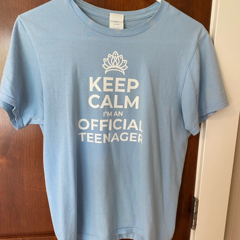 Funny Tee Shirt
